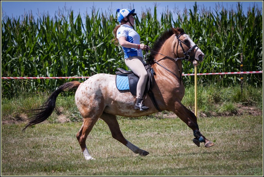 Mounted Games 184